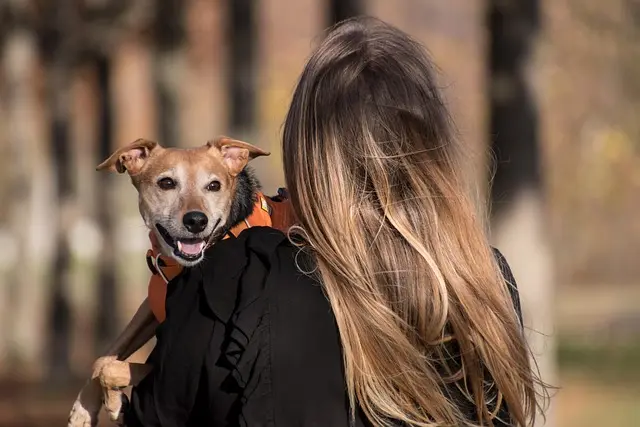 Comment les Avis Clients Influencent les Petites Entreprises