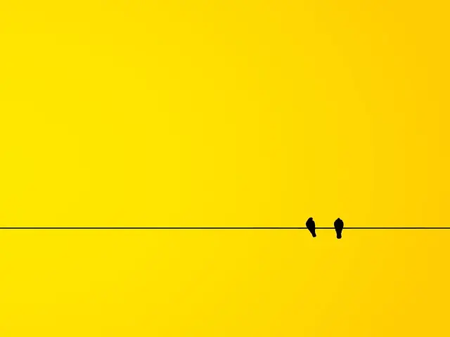 Comment Gérer les Avis Négatifs pour Améliorer Votre Réputation
